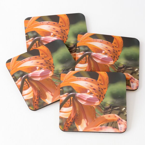 Item preview, Swallowtail designed and sold by KayCDesigns.