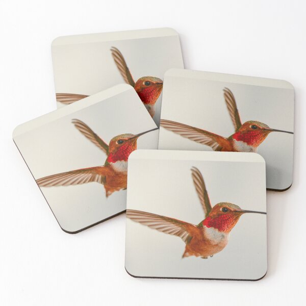 Item preview, Allen's Hummingbird (Selasphorus sasin) designed and sold by ThomMorris.