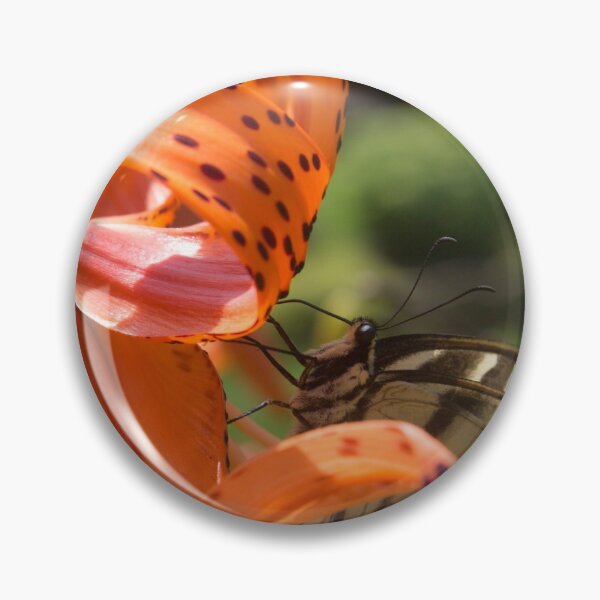 Item preview, Swallowtail designed and sold by KayCDesigns.