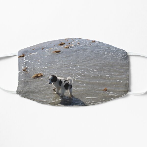 Australian Shepherd Puppy's First Day at the Beach Mask