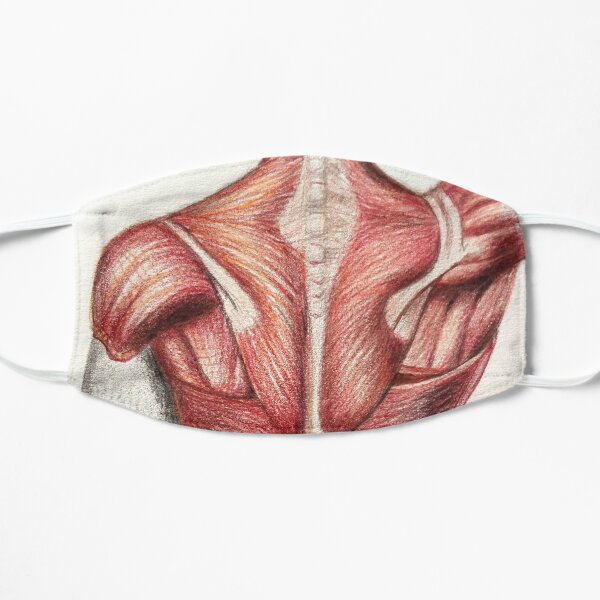 anatomy Mask