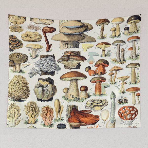 Item preview, Adolphe Millot - Champignons A - French vintage poster designed and sold by DejaVuStudio.