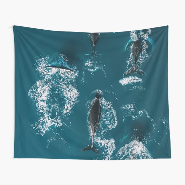 Disover Whales in Blue - Wildlife Aerial | Tapestry
