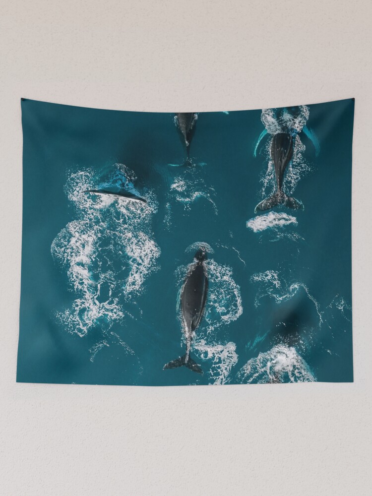 Discover Whales in Blue - Wildlife Aerial | Tapestry