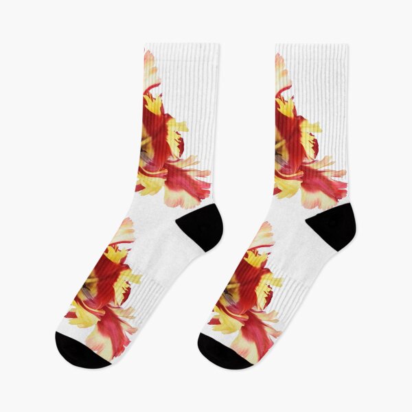 Item preview, Tulipa 'Flaming Parrot' Parrot Group Tulip designed and sold by Chris Burrows.