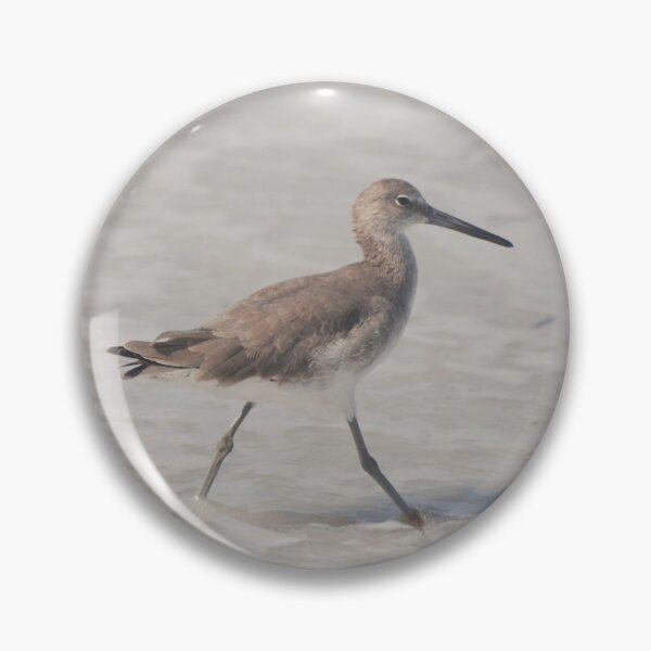 Item preview, Willet at Cayo Costa designed and sold by MinkMaguari.