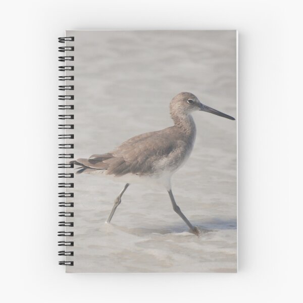 Item preview, Willet at Cayo Costa designed and sold by MinkMaguari.
