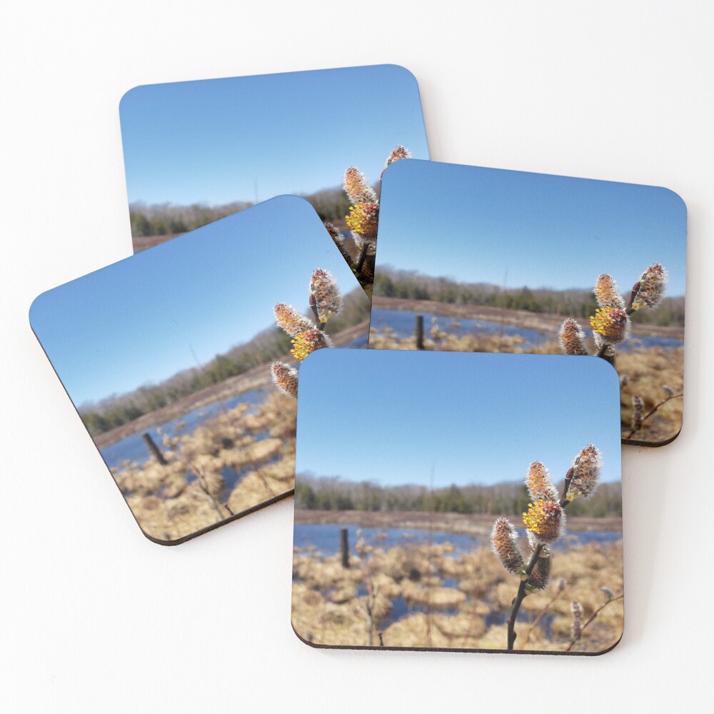 Item preview, Coasters (Set of 4) designed and sold by ElleEmme.