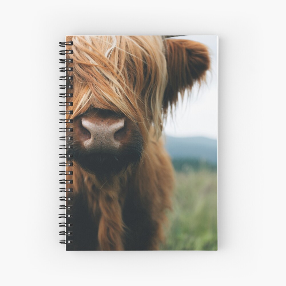 Scottish Highland Cow In Scotland Spiral Notebook For Sale By Regnumsaturni Redbubble