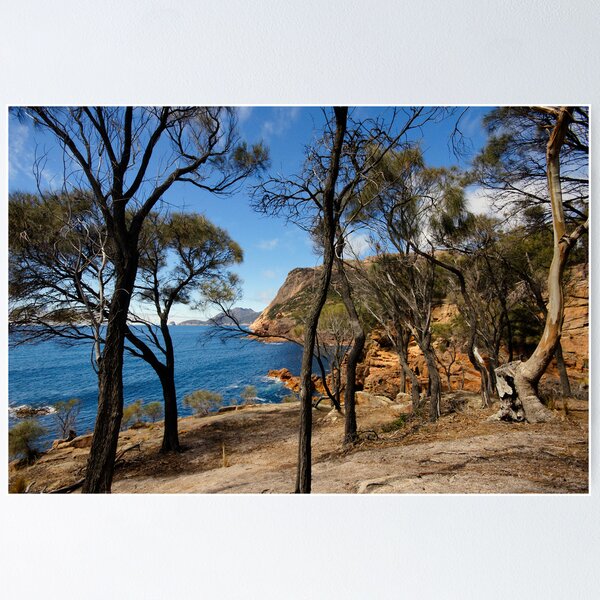 Item preview, Freycinet designed and sold by Harry Oldmeadow.