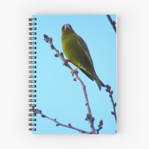 Item preview, Greenfinch designed and sold by WildandDivine.