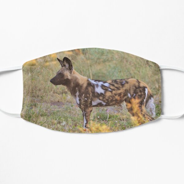 Afrikanischer Wildhund im Okavango Flache Maske