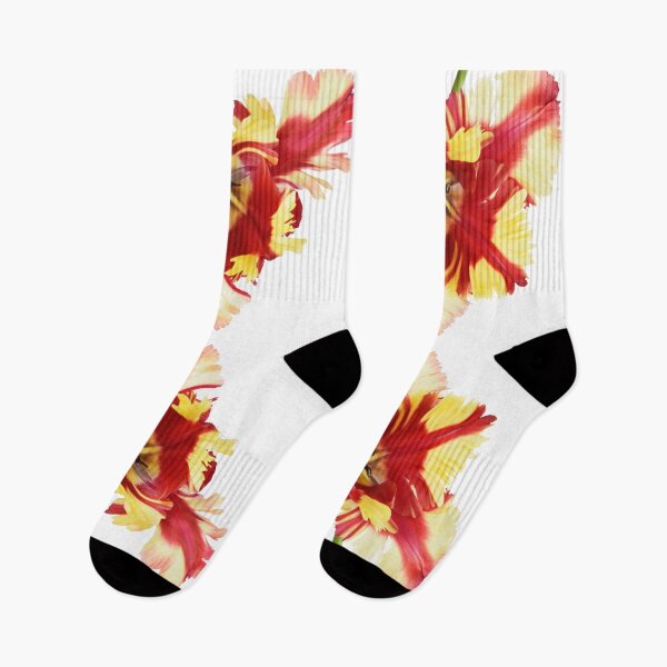 Item preview, Tulipa 'Flaming Parrot' Parrot Group Tulip designed and sold by Chris Burrows.