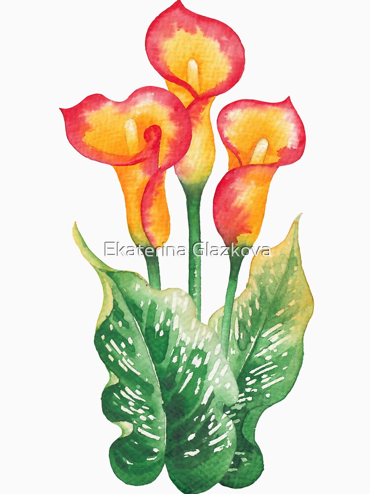 Thumbnail 7 of 7, Classic T-Shirt, Watercolor Calla Lily designed and sold by Glazkova.