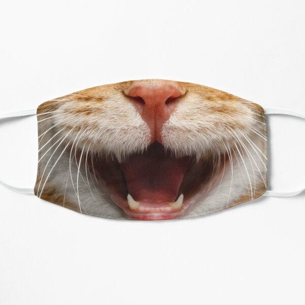 Cat hangover mask Corona smile gift Mask