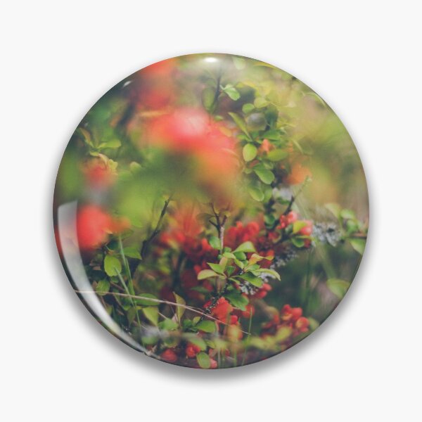 Item preview, Quince blossoms designed and sold by urbonasphotos.