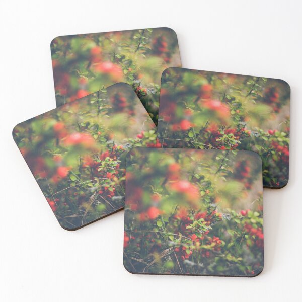 Item preview, Quince blossoms designed and sold by urbonasphotos.