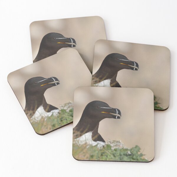 Item preview, Razorbill at Bempton Cliffs designed and sold by MinkMaguari.