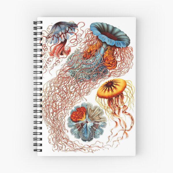 Item preview, Haeckel is Fun designed and sold by honeyblack.