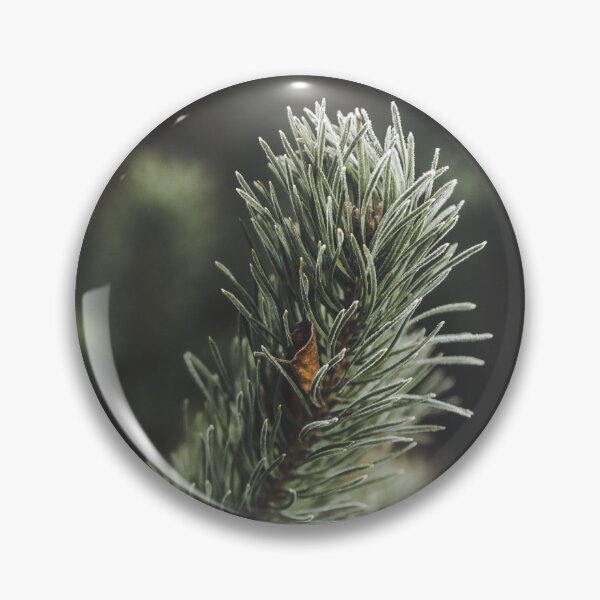Item preview, Frozen pine designed and sold by urbonasphotos.