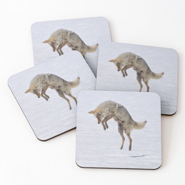 Item preview, coyote dive designed and sold by grizzbass.