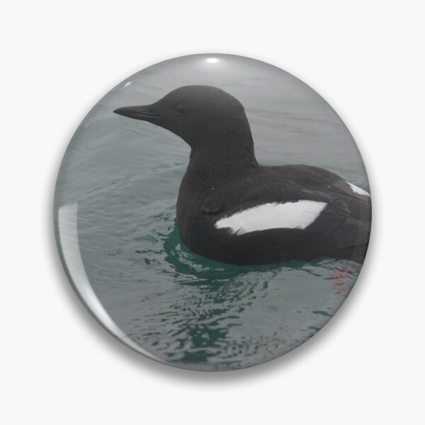 Item preview, Black Guillemot in Holyhead Harbour designed and sold by MinkMaguari.