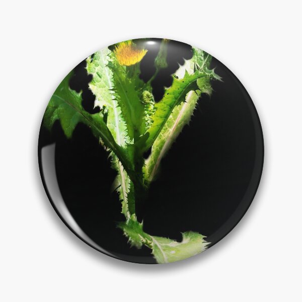 Item preview, A Full Dandelion Supension In Lock Down 04/14/20 v.2 designed and sold by Mark Polk.