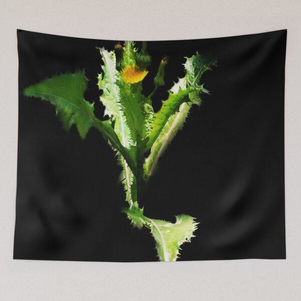 Item preview, A Full Dandelion Supension In Lock Down 04/14/20 v.2 designed and sold by Mark Polk.