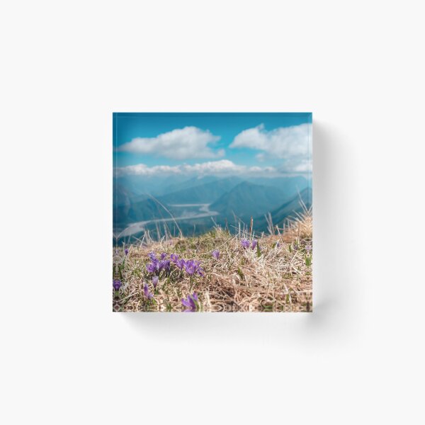 Item preview, Snowdrops on the top of a mountain in the Carnic Alps, Friuli-Venezia Giulia, Italy designed and sold by zakaz86.