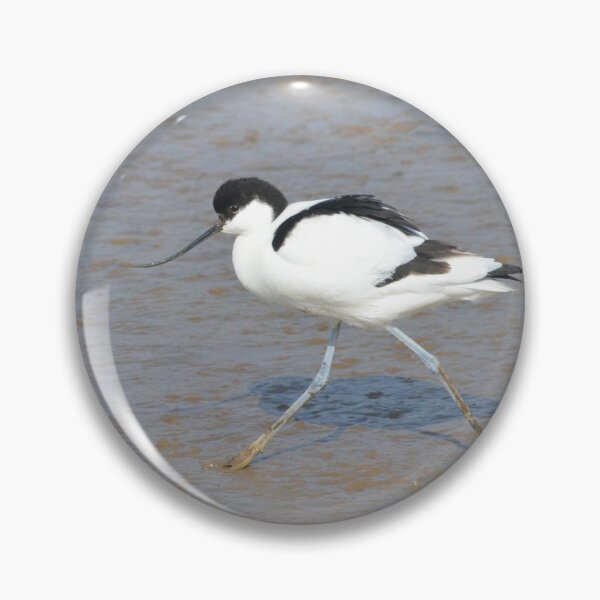 Item preview, Avocet at Titchwell Marsh designed and sold by MinkMaguari.
