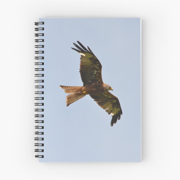 Item preview, Red Kite at Watlington Hill designed and sold by MinkMaguari.