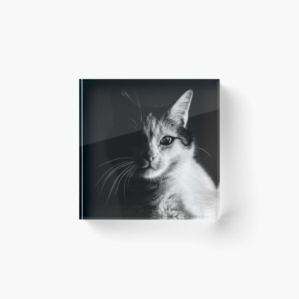 Item preview, Clear Obscure Cat designed and sold by MiyokoKells.