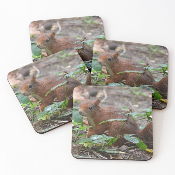 Item preview, Red Squirrel at Formby designed and sold by MinkMaguari.