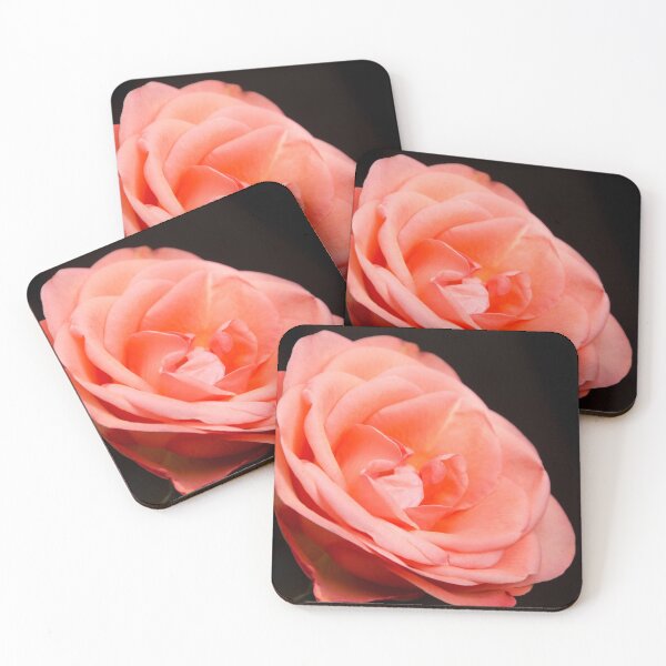 Item preview, Coral Rose 'Desire' designed and sold by SMartin.