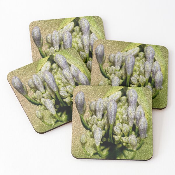 Item preview, Agapanthus designed and sold by halimabeale.