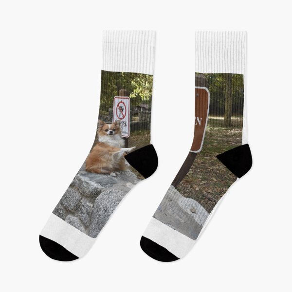 Item preview, point to the dumpster designed and sold by grizzbass.