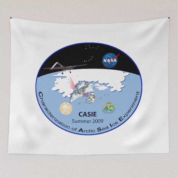 Item preview,  Characterization of Arctic Sea Ice Experiment 2009 Logo designed and sold by Nikki SpaceStuffPlus.