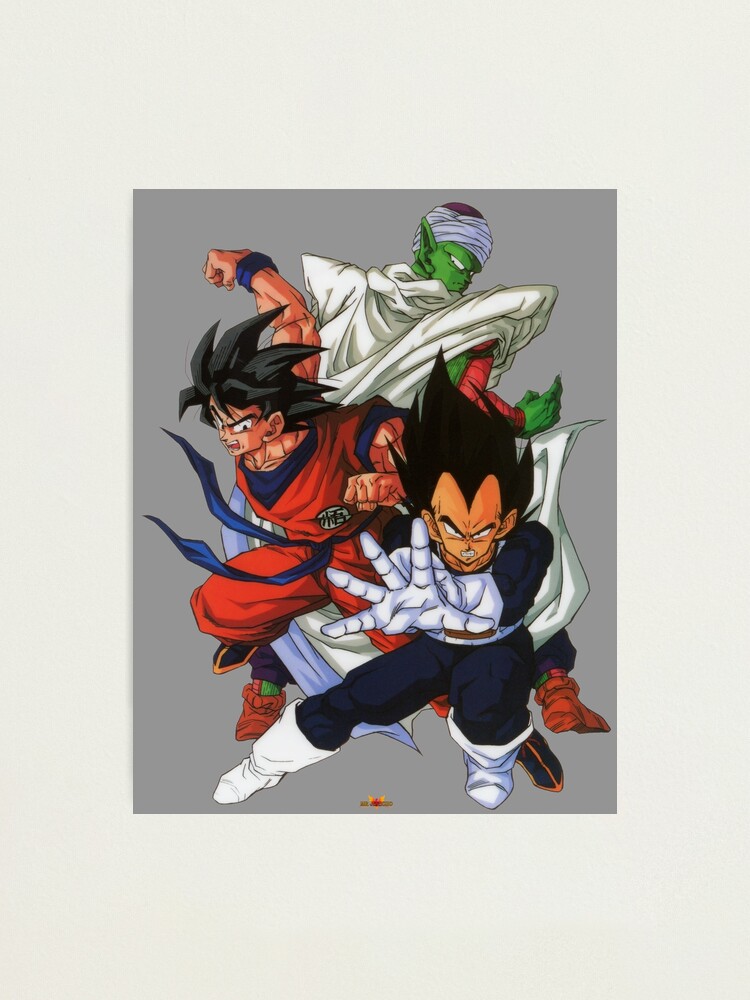 DBZ Goku Vegeta Piccolo Majin Wall Art - Dragon Ball Z Merch