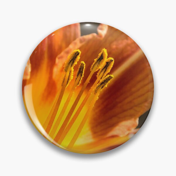 Item preview, Hemerocallis (Day Lily) designed and sold by SMartin.