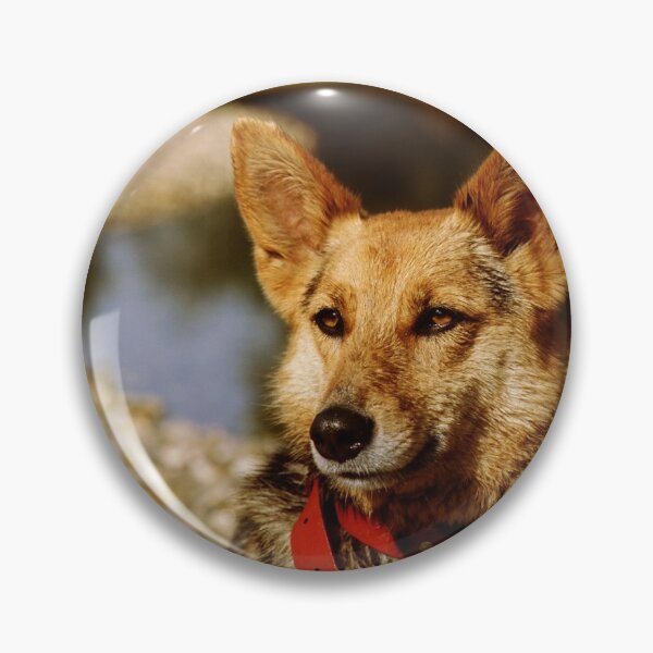 Item preview, Foxy Lady designed and sold by Benjamin Fauvel.