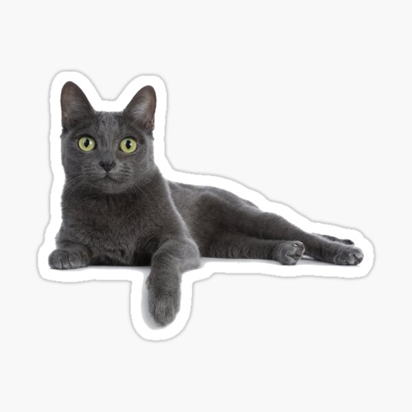Item preview, Grey Cat designed and sold by ssduckman.