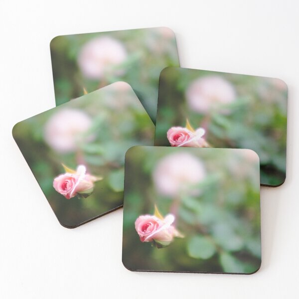 Item preview, Baby Rose designed and sold by Benjamin Fauvel.