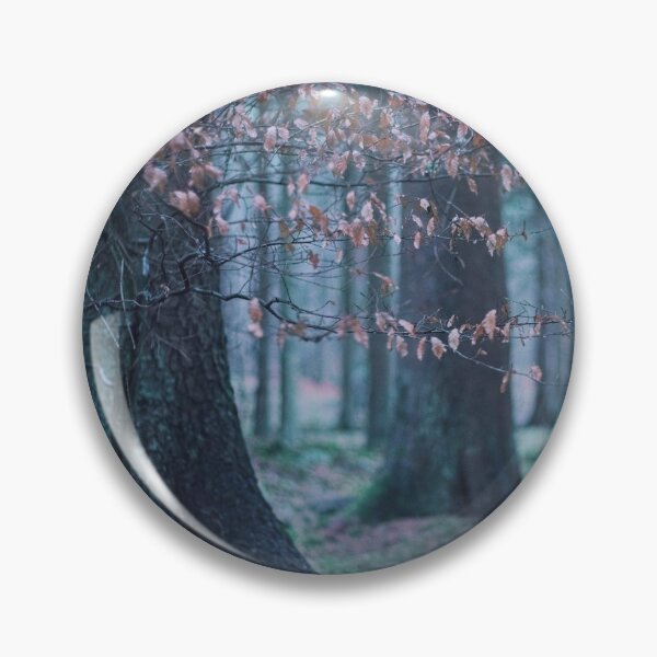 Item preview, The Softness: 6: Spray of Beech Leaves designed and sold by ShinyPhoto.