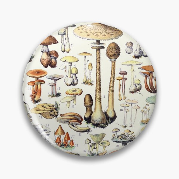 Item preview, Adolphe Millot - Champignons B - French vintage poster designed and sold by DejaVuStudio.