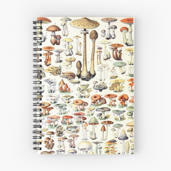 Item preview, Adolphe Millot - Champignons B - French vintage poster designed and sold by DejaVuStudio.