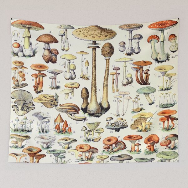 Item preview, Adolphe Millot - Champignons B - French vintage poster designed and sold by DejaVuStudio.