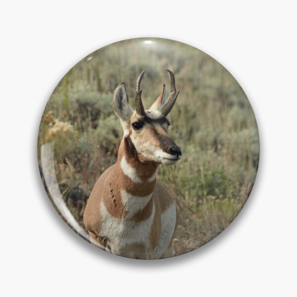 Item preview, pronghorn designed and sold by grizzbass.