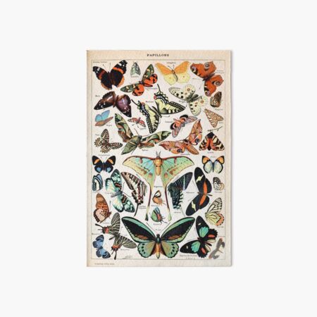 Adolphe Millot - Papillons pour tous - French vintage poster Art Board Print