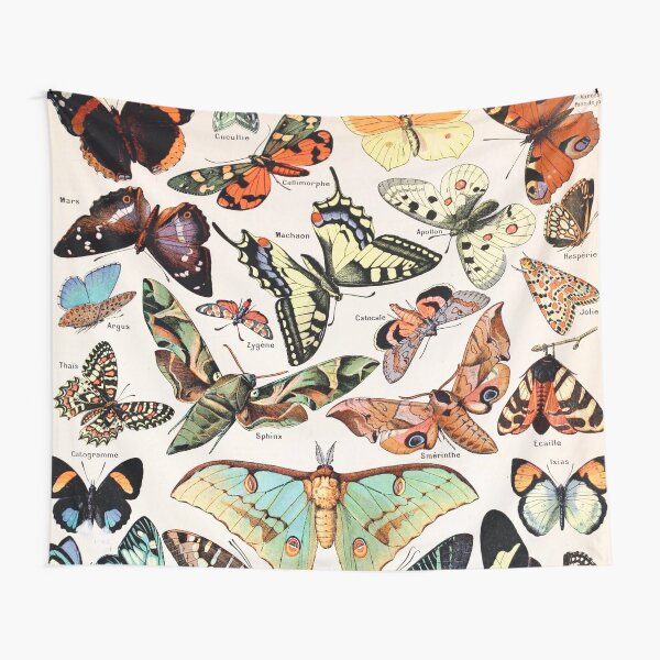 Adolphe Millot - Papillons pour tous - French vintage poster Tapestry