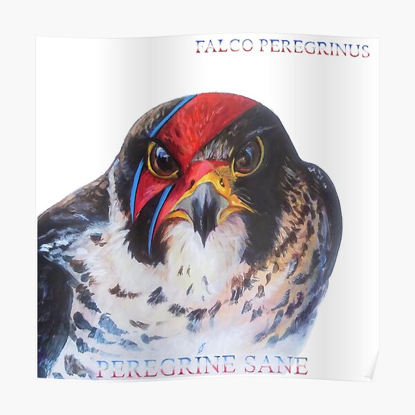 Peregrine Sane Poster